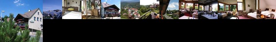 Hotel Waldfrieden Sankt Andreasberg