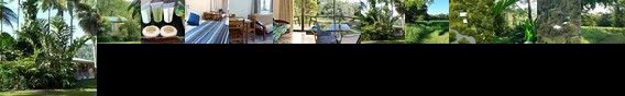 Daintree Valley Haven