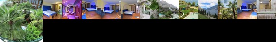Hotel Alexander Limone sul Garda Hotel Alexander Limone sul Garda