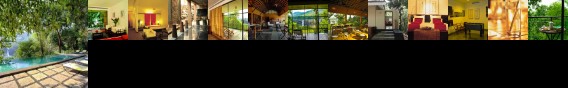 Rainforest Hotel Thrissur