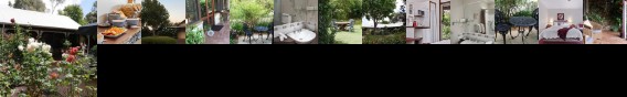 The Noble Grape Guest House