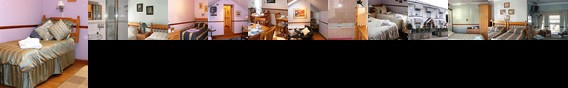 Black Lion Guest House Black Lion Guest House