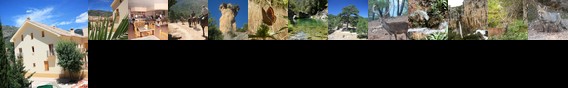 Apartamentos Campillo La Iruela