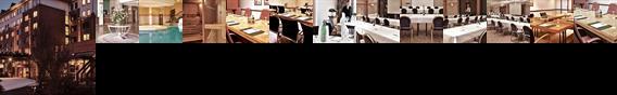 Copthorne Hotel Hannover