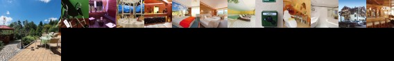 Hotel Tannenhof Oy-Mittelberg