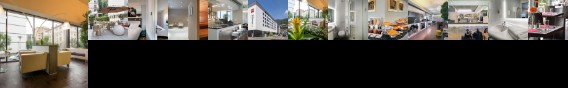 Hotel Ibis Locarno