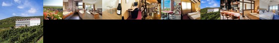 Hotel Haus Am Weinberg Sankt Martin