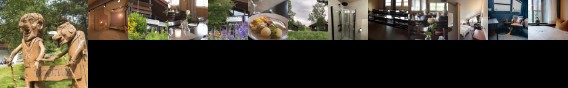 Trolltun Gjestegard Hotel Dovre