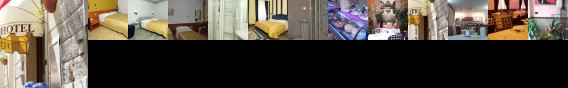 Albergo al Viale Albergo al Viale