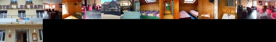 Hotel Les Sapins Gerardmer Hotel Les Sapins Gerardmer