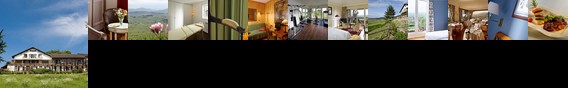 Le Clos Saint Vincent