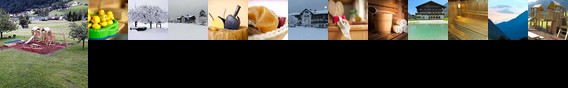 Steuxner Hotel Neustift im Stubaital Steuxner Hotel Neustift im Stubaital