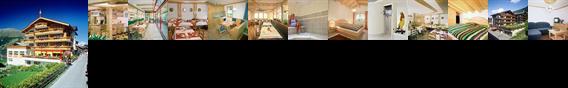 Aparthotel Des Alpes Grachen