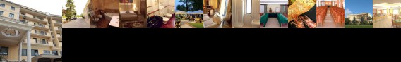 Hotel Al Boschetto Hotel Al Boschetto