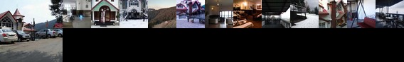 Hotel Lions