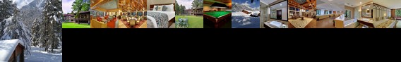 Hotel Senator Pine-n-Peak Pahalgam