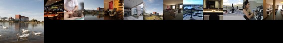 Amerian San Luis Park Hotel