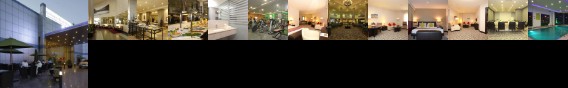 Golden Tulip Hail Hotel