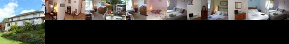Wynford Guest House Wynford Guest House