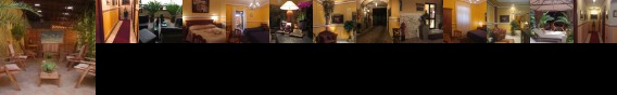 Hotel Amadeus Caserta Hotel Amadeus Caserta