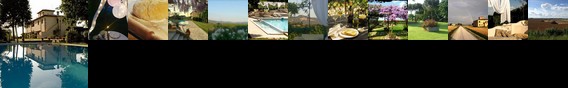 Agrisalotto Bed and Breakfast Cortona Agrisalotto Bed and Breakfast Cortona