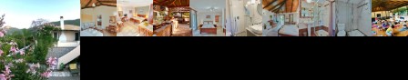 Sunny Garden Apartments