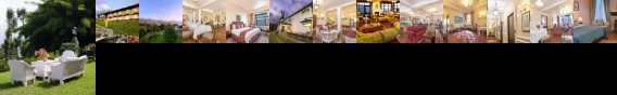 Elgin Mount Pandim Pelling