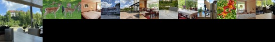 Waldhotel Felsenkeller