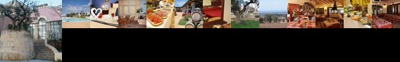 Tenuta Volpara Tenuta Volpara