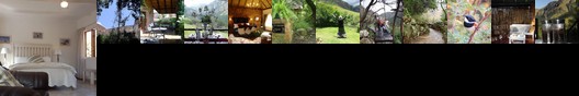 Forest Creek Lodge Dullstroom