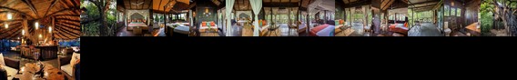 Tree House Hideaway