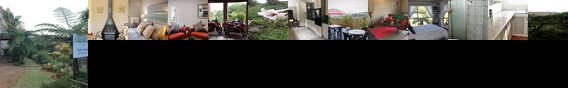 Forest View Guest House