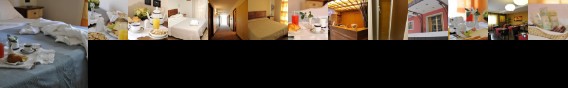 Hotel Fly