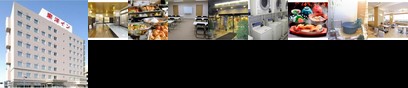 Hotel Toyo Inn Kariya