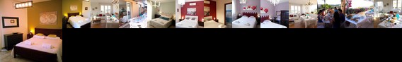 Blue Dolphin B&B Alghero Blue Dolphin B&B Alghero