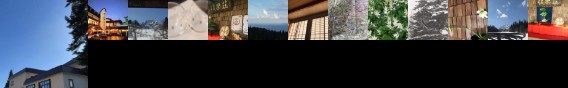Hotel Korakuso Myoko