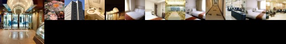 Hotel Sunroute Sakai