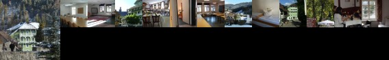 Europaisches Gastehaus Todtmoos