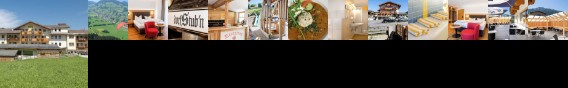 Hotel Schneeberger Hotel Schneeberger
