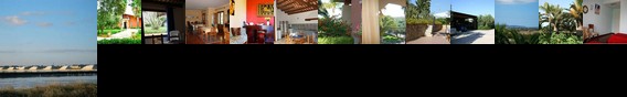 Villa Lisa Bed And Breakfast Villa Lisa Bed And Breakfast
