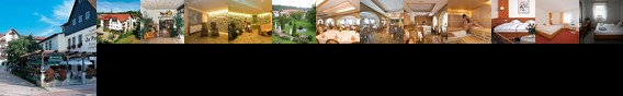 Hotel & Gasthof Zur Post Pirna