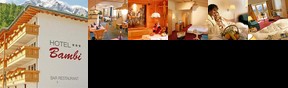 Hotel Bambi Hotel Bambi