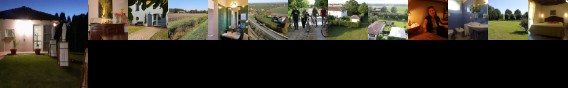 Fattoria Corte Roeli