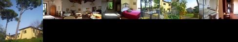 B&B il Giglio Etrusco B&B il Giglio Etrusco
