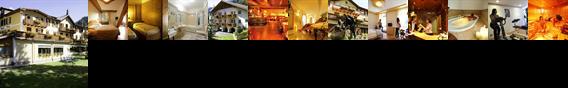 Hotel Vioz