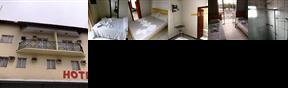 Hotel Viena