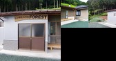 Rental House Forest