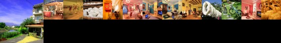 Happiness B&B
