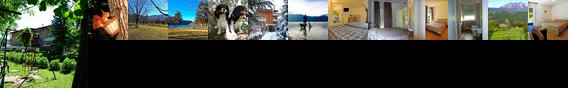 Hotel Sport Levico Terme Hotel Sport Levico Terme