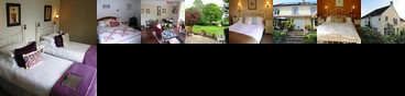 Chetcombe House B&B Chetcombe House B&B